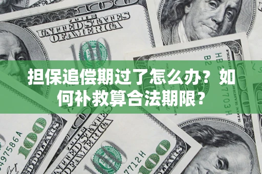 济南担保追偿期过了怎么办？如何补救算合法期限？
