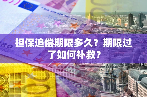 济南担保追偿期限多久？期限过了如何补救？