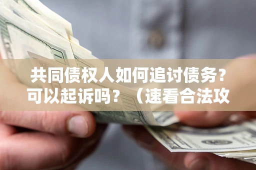 济南共同债权人如何追讨债务？可以起诉吗？（速看合法攻略）
