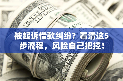济南被起诉借款纠纷？看清这5步流程，风险自己把控！